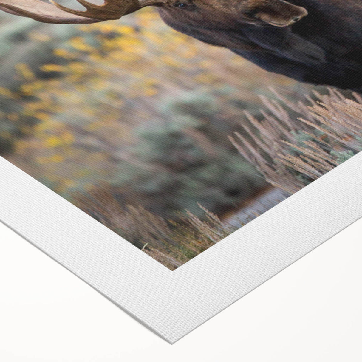 Moose and elk wall art design on rolled canvas, showcasing intricate details and earthy tones, perfect for wildlife enthusiasts and home decor.