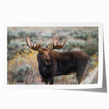 Moose and elk wall art collection featuring a beautifully illustrated design of wildlife in a natural setting, ideal for nature enthusiasts and home decor.