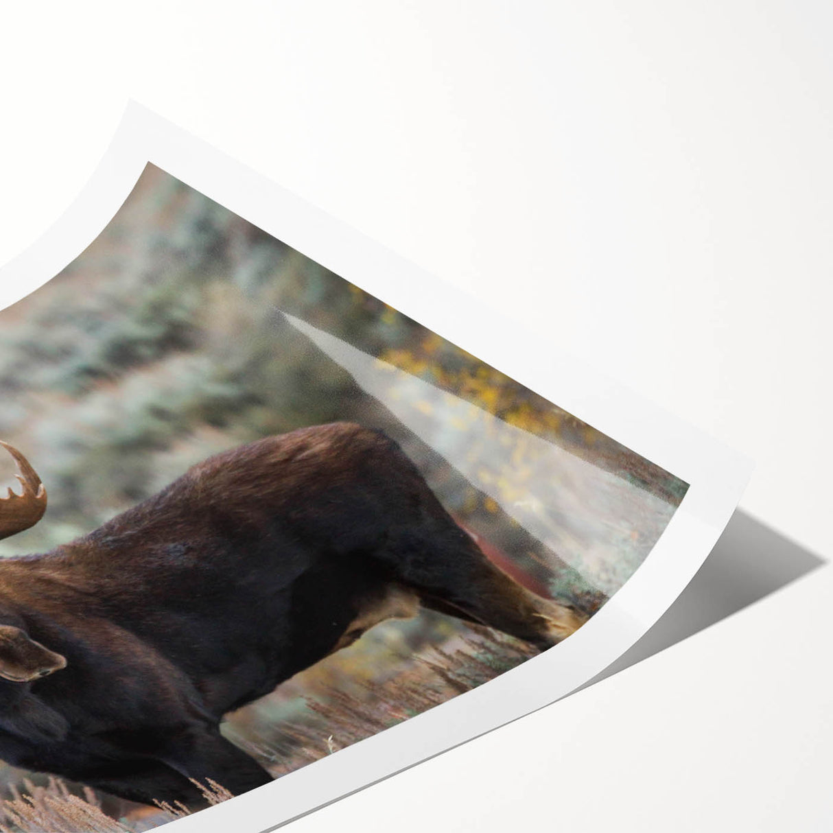 Moose and elk wall art design featuring a serene forest landscape, printed on high-quality rolled canvas, perfect for nature-themed decor.