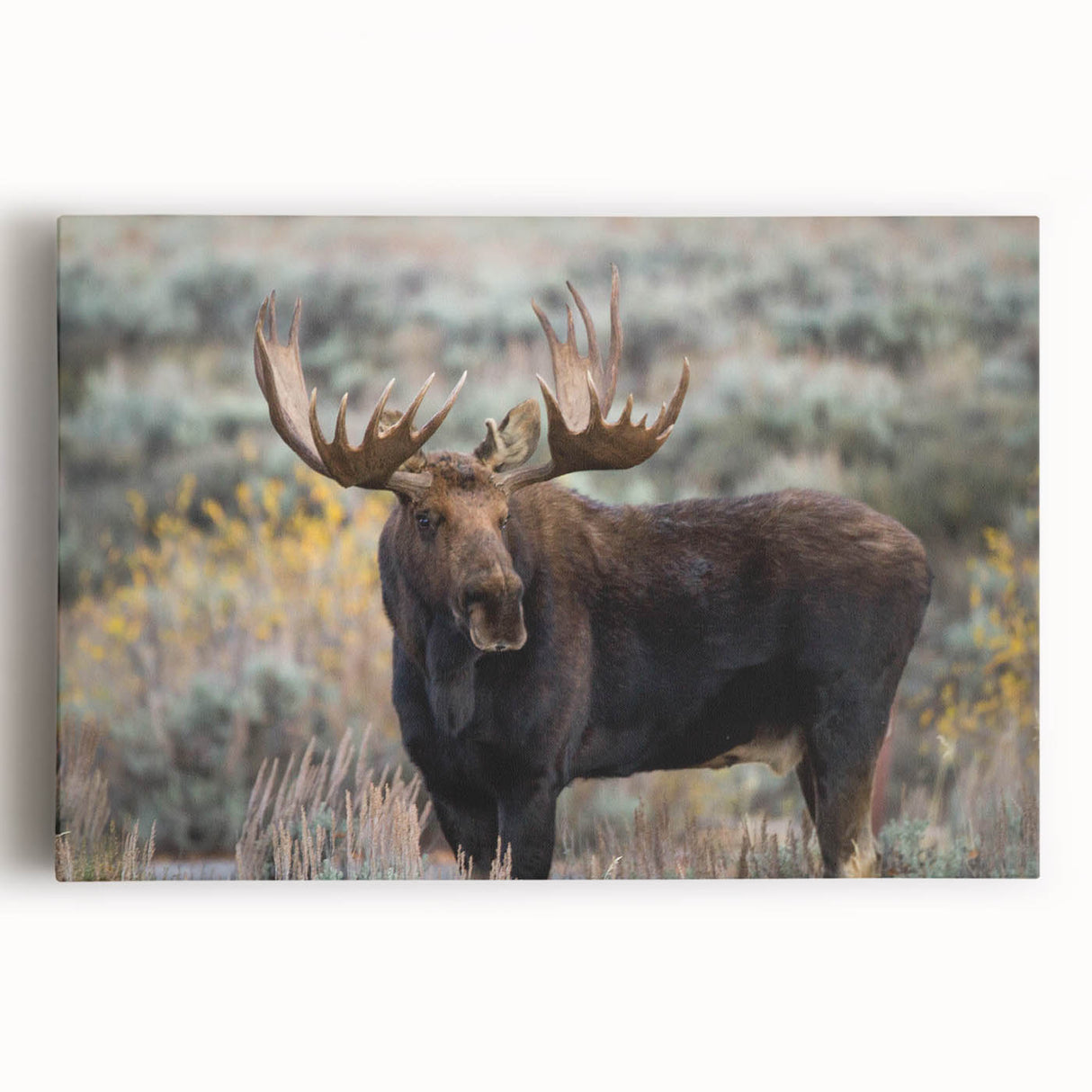 Stretched canvas wall art showcasing a detailed moose and elk design, set against a natural backdrop, perfect for wildlife enthusiasts and home decor.