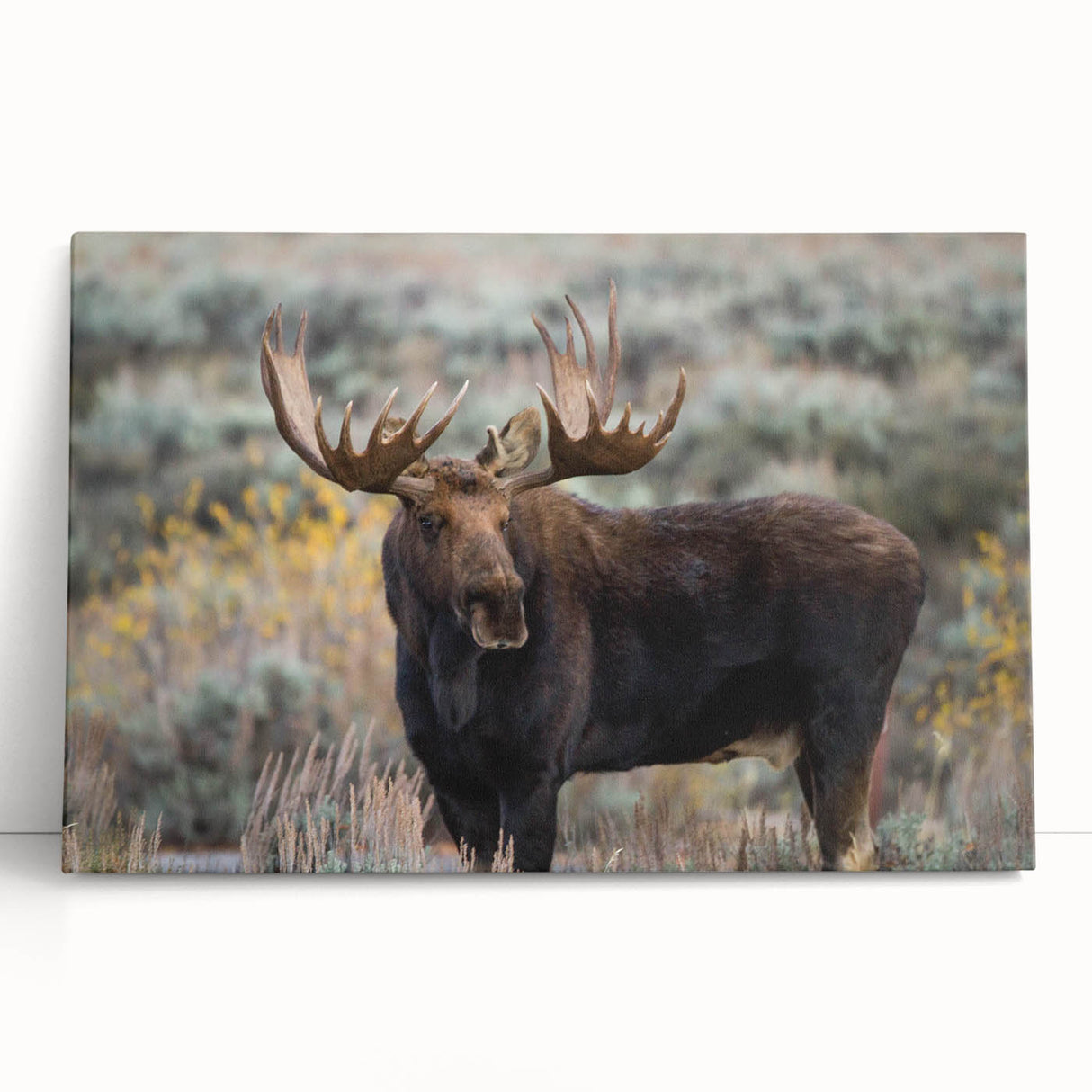 Moose and elk design stretched canvas wall art featuring a vibrant wildlife scene, showcasing rich colors and intricate details, perfect for nature enthusiasts.