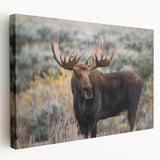 Moose and elk wall art collection displayed on stretched canvas, showcasing a side view of intricate wildlife designs with earthy tones, perfect for nature lovers.
