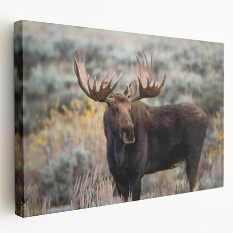 Moose and elk wall art collection displayed on stretched canvas, showcasing a side view of intricate wildlife designs with earthy tones, perfect for nature lovers.