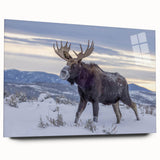 Side view of a moose and elk design wall art piece, featuring a vibrant acrylic glass finish, ideal for animal lovers and home decor enthusiasts.