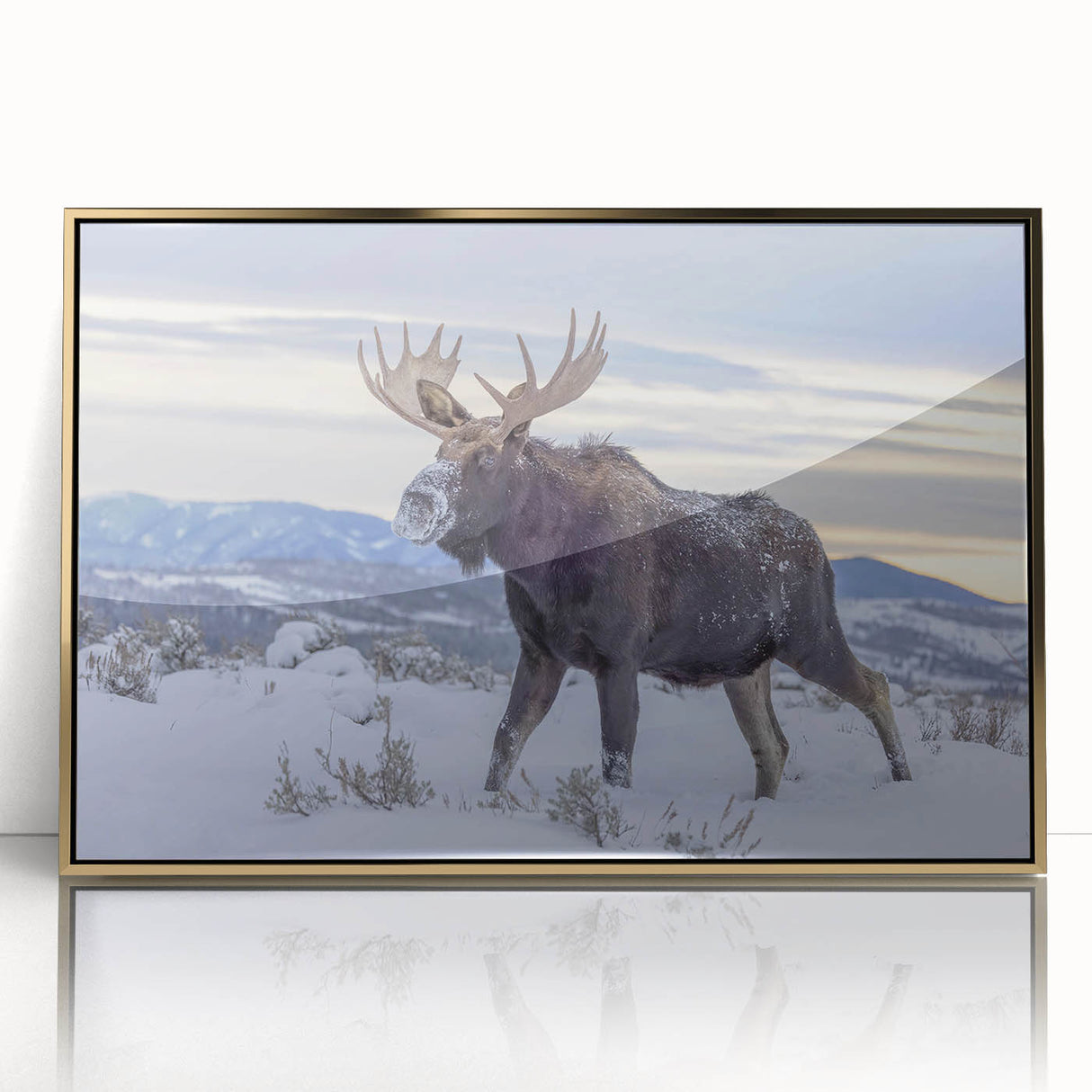Framed wall art featuring a stunning moose and elk design in gold accents, perfect for wildlife enthusiasts, displayed against a neutral background. Ideal for home decor.