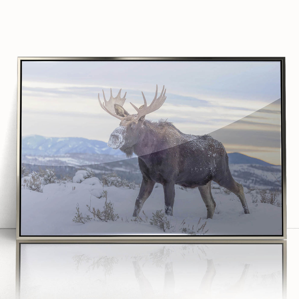 Framed acrylic wall art showcasing a stunning moose and elk design, featuring intricate details and a silver frame, perfect for wildlife enthusiasts and home decor.