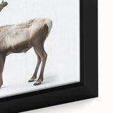 Close-up of a framed canvas wall art showcasing a moose and elk design, highlighting intricate details and vibrant colors, perfect for wildlife enthusiasts.