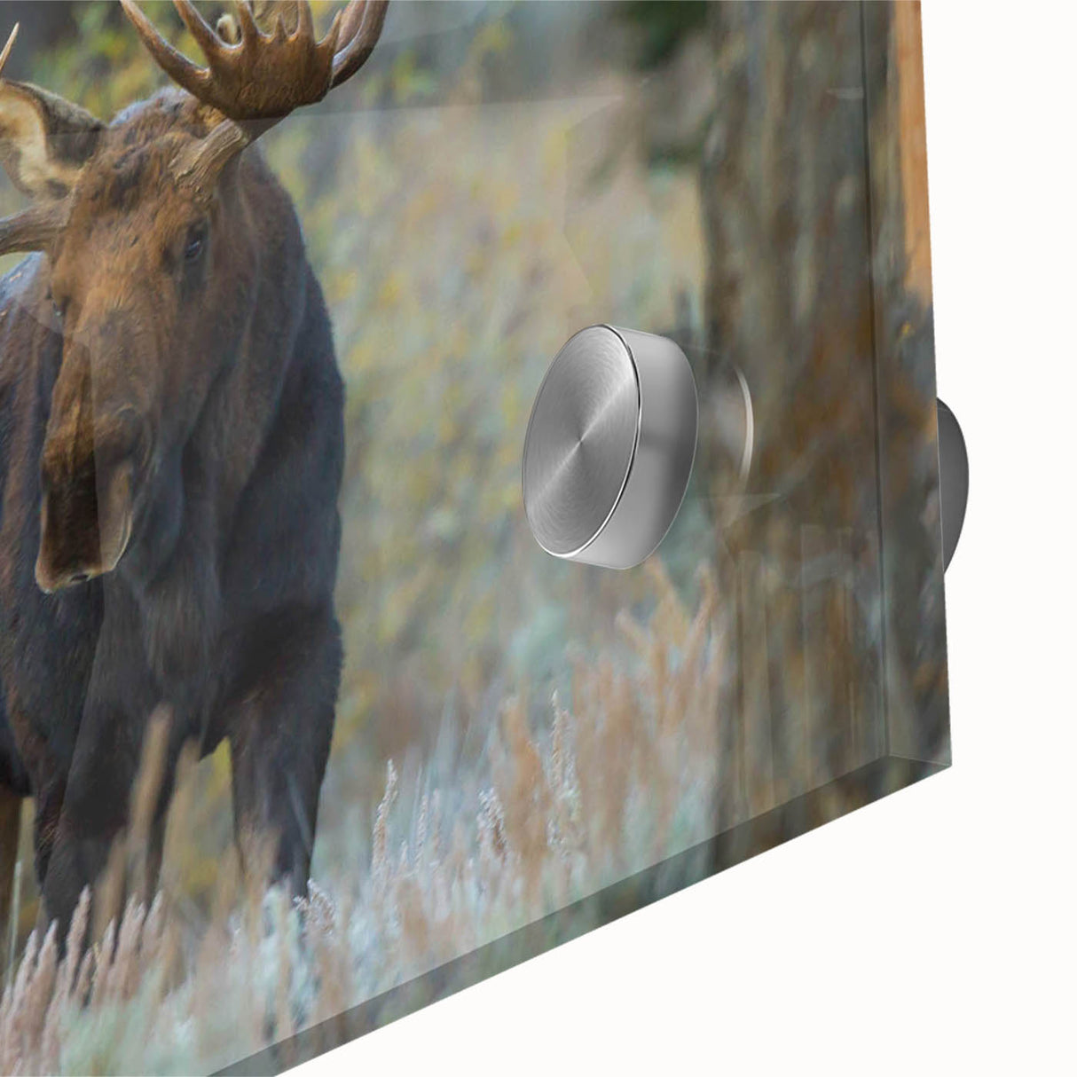 Close-up of a striking acrylic wall art piece showcasing a moose and elk design, featuring rich colors and intricate details, ideal for wildlife enthusiasts.