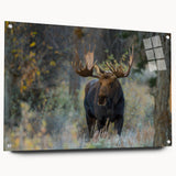 Side view of a contemporary acrylic wall art piece showcasing a moose and elk design, displayed with decorative pins, perfect for wildlife enthusiasts and home decor.