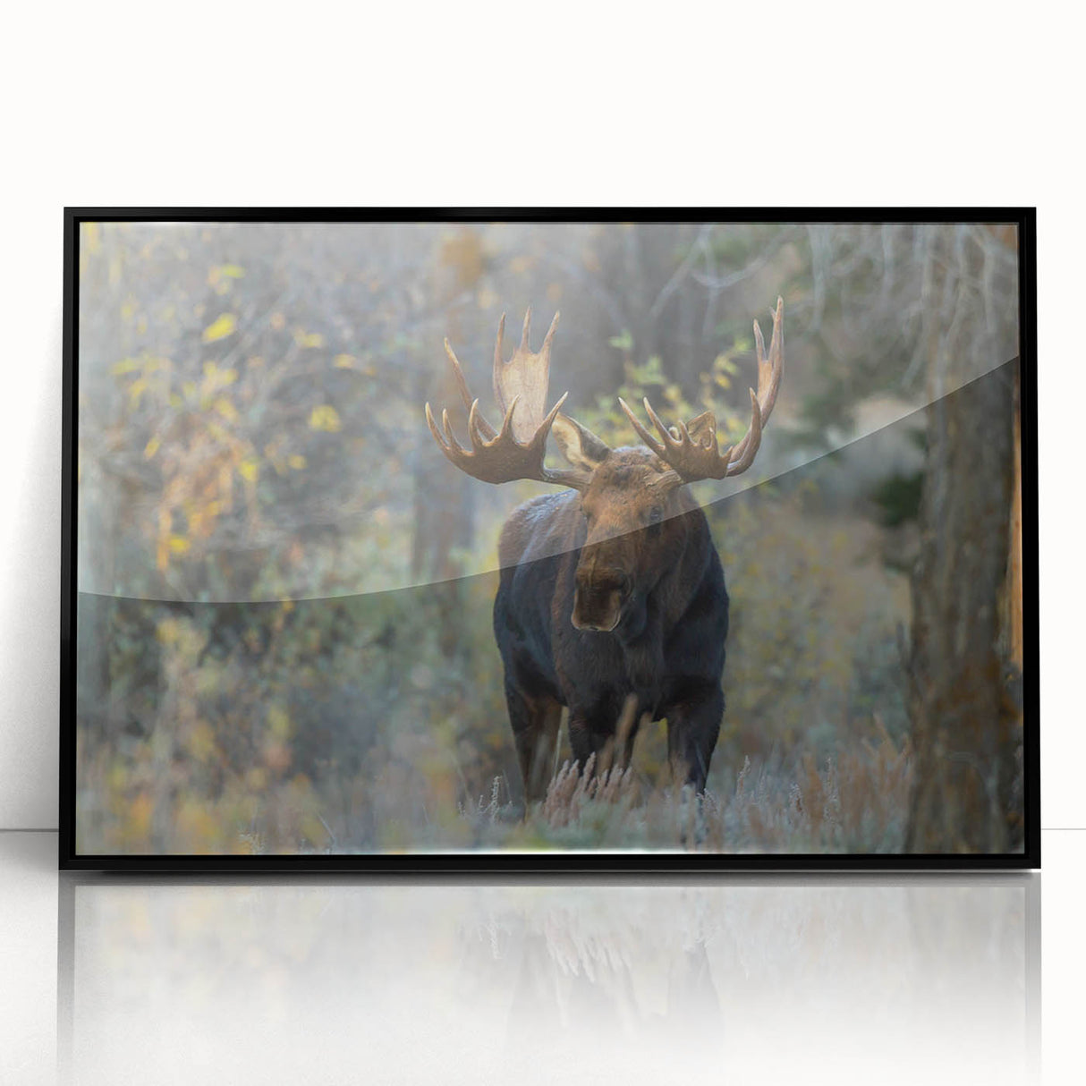 Framed wall art featuring a moose and elk design in a black frame, showcasing a serene wildlife scene, perfect for nature enthusiasts and home decor.