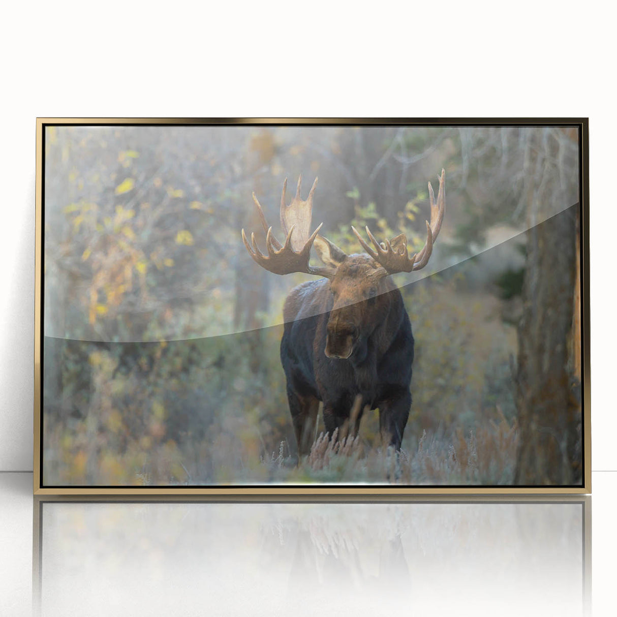 Framed wall art showcasing a detailed moose and elk design set against a rich gold background, perfect for nature lovers and rustic decor enthusiasts.