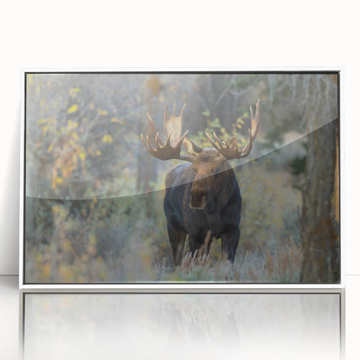 Framed wall art collection showcasing a striking moose and elk design in a white frame, perfect for nature enthusiasts and home decor. Ideal for adding a rustic touch to any space.