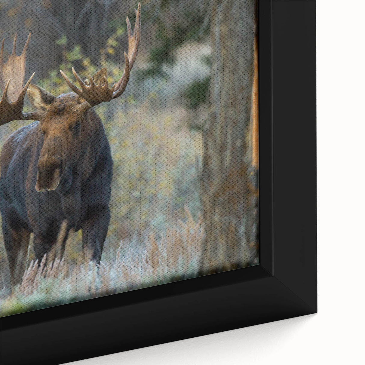 Close-up of a beautifully framed canvas featuring a moose and elk design, showcasing intricate details and vibrant colors, ideal for wildlife enthusiasts and home decor.