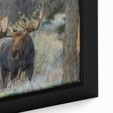 Close-up of a beautifully framed canvas featuring a moose and elk design, showcasing intricate details and vibrant colors, ideal for wildlife enthusiasts and home decor.
