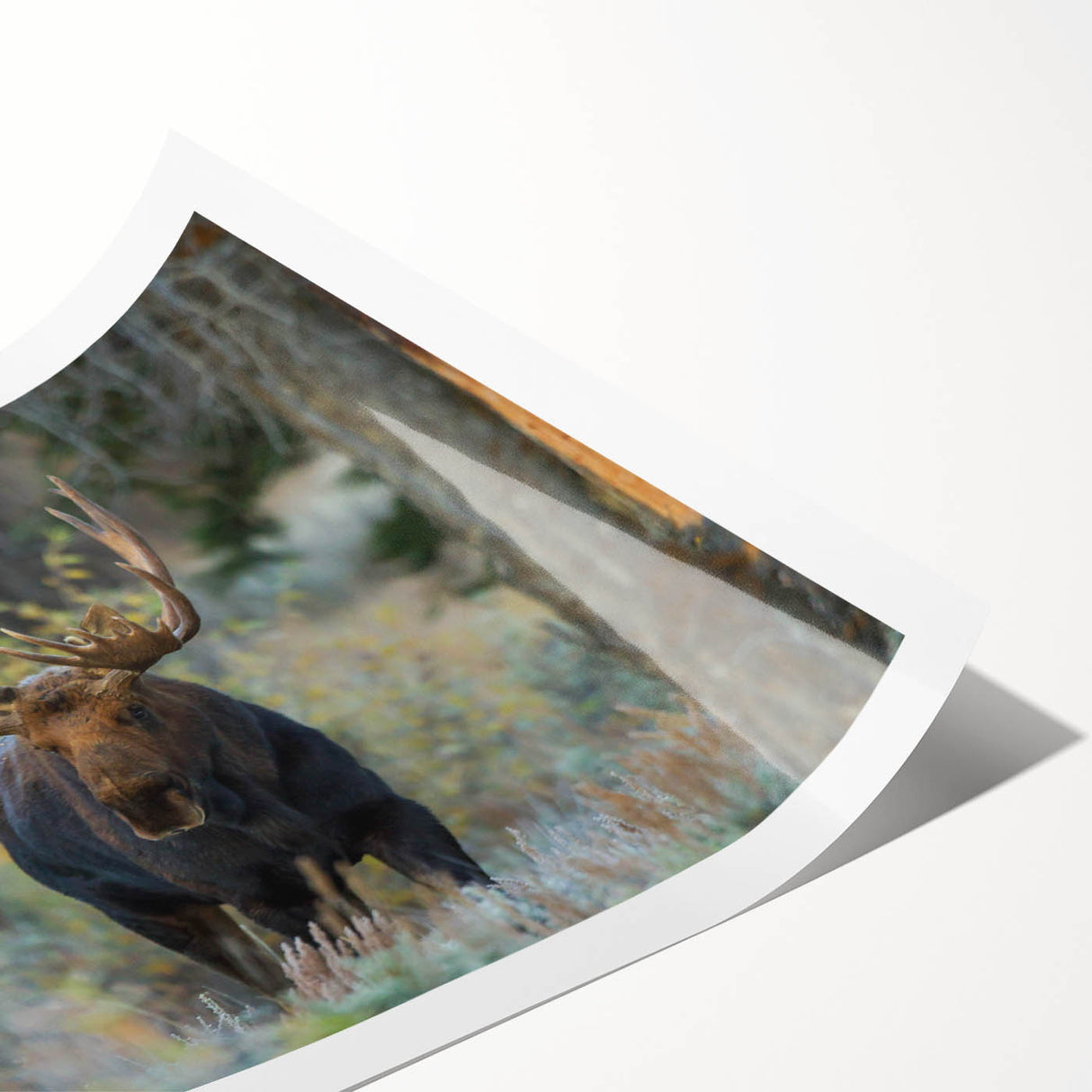 Moose and elk wall art print showcasing a vibrant wildlife design, featuring detailed illustrations of the animals in a natural setting, ideal for home decor.