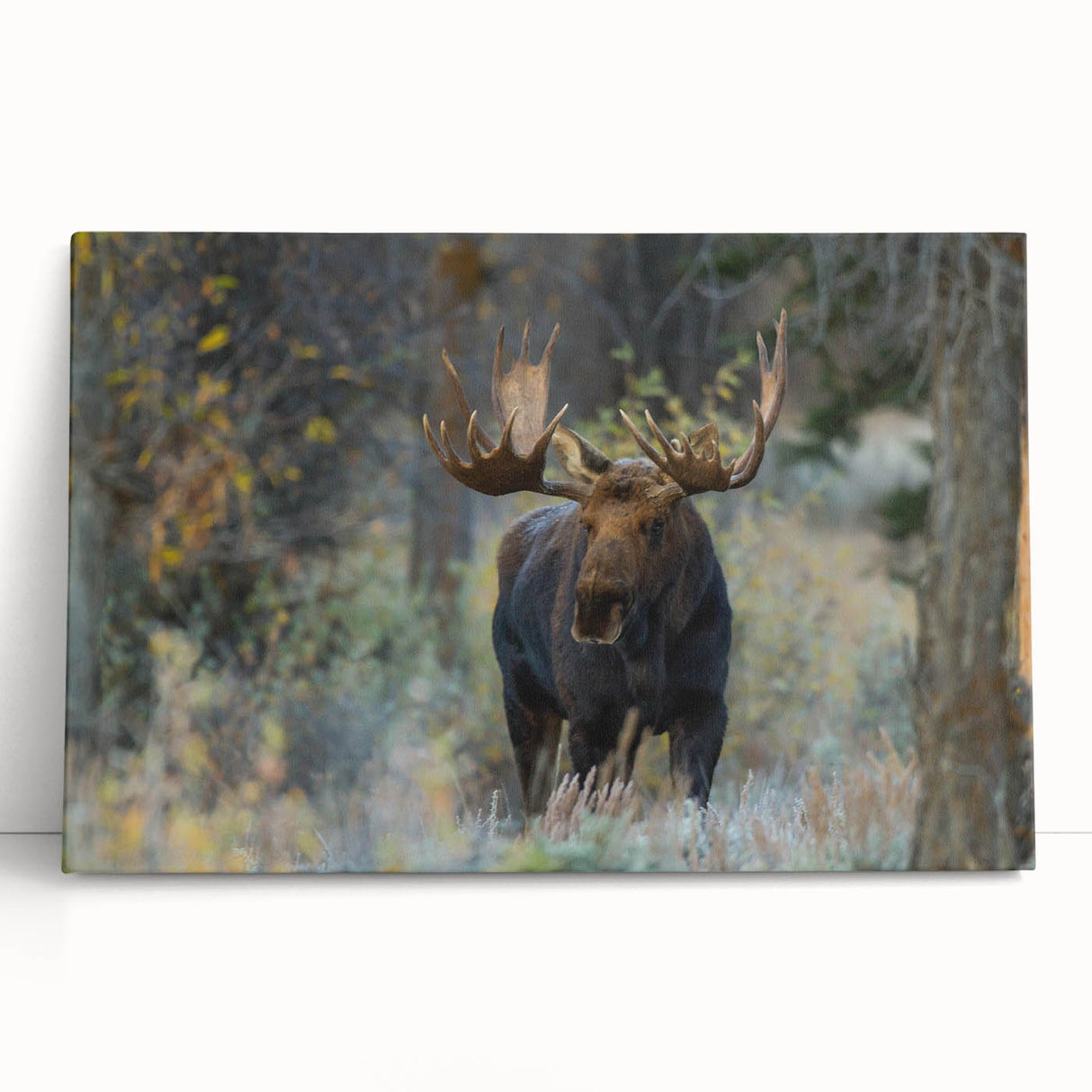 Stretched canvas wall art showcasing a moose and elk design, featuring rich colors and intricate details, perfect for wildlife enthusiasts and home decor.