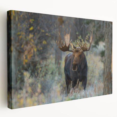 Stretched canvas wall art featuring a detailed side view of a moose and elk in a forest setting, showcasing earthy tones of brown and green, perfect for wildlife enthusiasts.