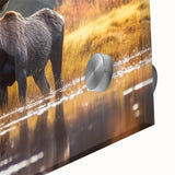 Close-up of a vibrant wall art collection featuring a moose and elk design, printed on acrylic glass, showcasing intricate details and rich colors. Ideal for wildlife enthusiasts and nature-inspired decor.