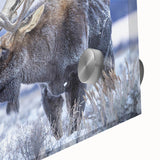 Close-up of a stunning wall art collection featuring a moose and elk design, printed on acrylic glass, showcasing vibrant colors and intricate details, ideal for nature enthusiasts.