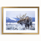 Gold-framed wall art collection showcasing a moose and elk design, featuring intricate wildlife illustrations and a mat, ideal for nature enthusiasts.