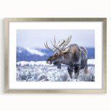 Framed wall art collection featuring a moose and elk design, showcasing intricate wildlife illustrations in silver frame with matting, perfect for nature enthusiasts.
