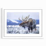 Moose and elk wall art collection framed with a white mat, showcasing intricate wildlife designs, perfect for nature lovers and home decor enthusiasts.