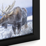Close-up of a framed canvas wall art featuring a moose and elk design, showcasing intricate details of wildlife against a natural backdrop, perfect for nature lovers' decor.