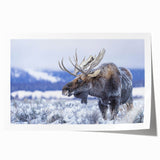 Moose and elk wall art collection print featuring a detailed wildlife design with earthy tones, ideal for nature lovers and home decor enthusiasts.