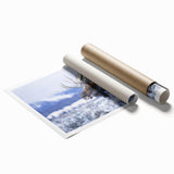 Moose and elk wall art design in a rolled print, showcasing intricate wildlife illustrations with earthy tones, perfect for nature-themed decor.