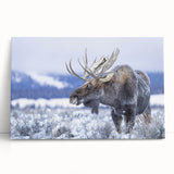 Stretched canvas wall art showcasing a moose and elk design, featuring vibrant colors and intricate details, perfect for wildlife enthusiasts and nature lovers' decor.