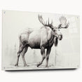 Acrylic glass wall art collection featuring a side view of a moose and elk design, showcasing intricate details and vibrant colors, perfect for wildlife enthusiasts.