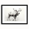 Wall art collection featuring a black-framed moose and elk design, highlighting the beauty of wildlife, perfect for nature enthusiasts and home décor.