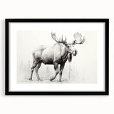 Wall art collection featuring a black-framed moose and elk design, highlighting the beauty of wildlife, perfect for nature enthusiasts and home décor.