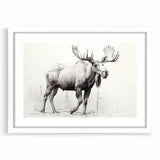 Framed wall art featuring a moose and elk design, showcased in a white mat and frame, perfect for wildlife enthusiasts and home decor. The artwork captures the essence of nature, ideal for enhancing living spaces.