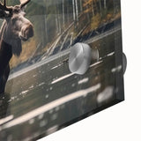 Close-up of a striking moose and elk wall art design on acrylic glass, showcasing intricate details and vibrant colors, perfect for wildlife enthusiasts and home decor.
