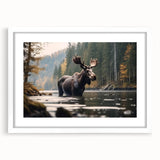 Moose and elk wall art collection framed in white with a mat, showcasing a serene wildlife scene, perfect for nature enthusiasts and home decor.