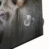 Close-up of a vibrant acrylic glass wall art piece showcasing a whimsical pig design, perfect for animal lovers and home decor enthusiasts, featuring rich colors and intricate details.