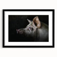 Framed wall art featuring a whimsical pig design with a black mat and sleek frame, perfect for enhancing animal-themed home decor. Ideal for collectors and animal lovers.