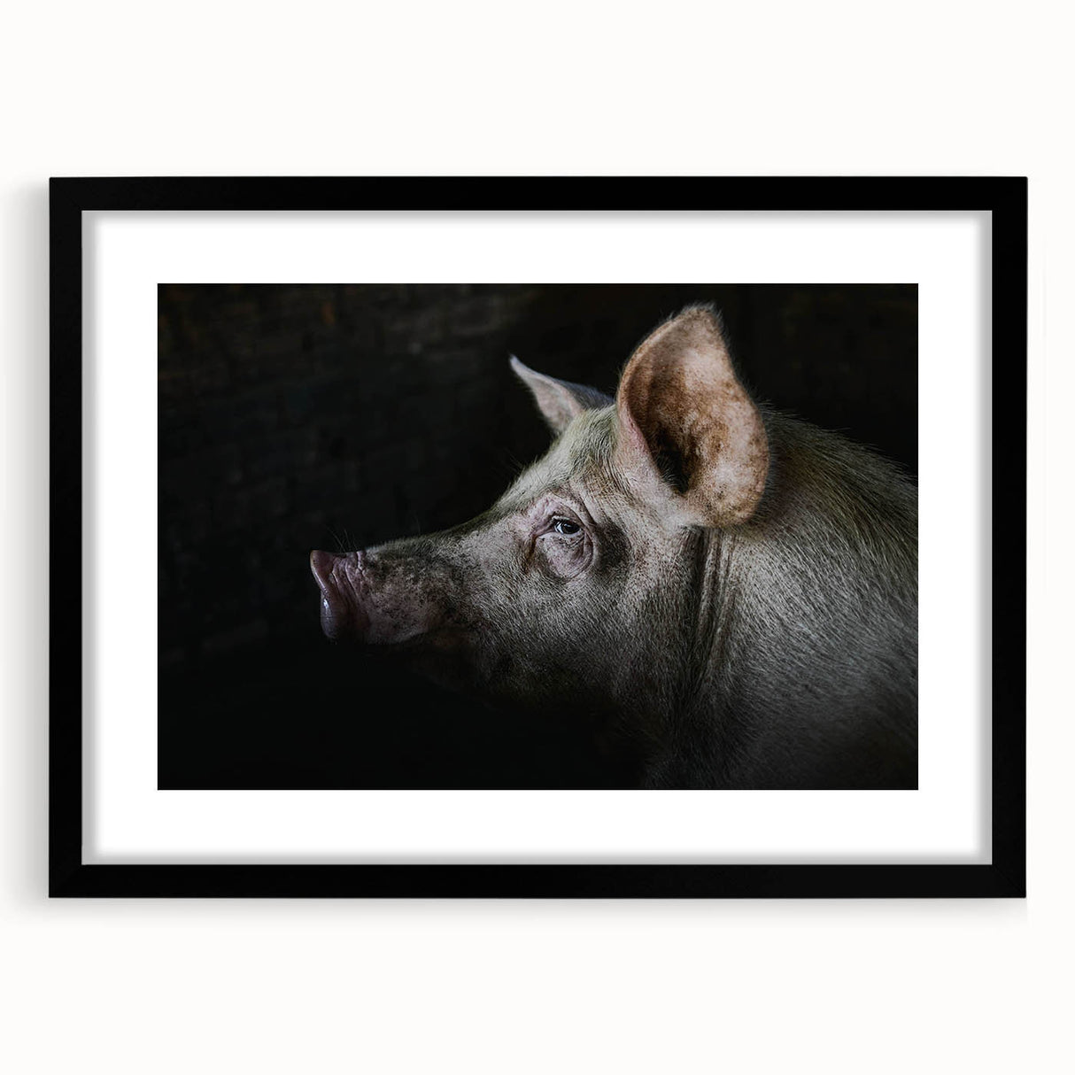 Framed wall art featuring a whimsical pig design with a black mat and sleek frame, perfect for enhancing animal-themed home decor. Ideal for collectors and animal lovers.