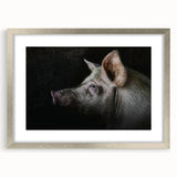 Framed wall art showcasing a playful pig design from the Wild Life collection, featuring a sleek silver frame and mat, perfect for animal lovers’ decor.