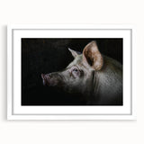 Framed wall art featuring a whimsical pig design, set against a white mat, perfect for animal lovers and home decor enthusiasts, showcasing vibrant colors and playful details.