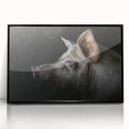 Framed acrylic wall art featuring a whimsical pig design from the Animals A Wild Life collection, set against a sleek black frame, perfect for adding a playful touch to home decor.