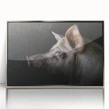 Framed wall art featuring a whimsical pig design from the Animals A Wild Life collection, showcasing vibrant colors and a sleek silver frame, ideal for animal lovers.