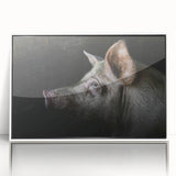 Framed wall art featuring a whimsical pig design in a white frame, showcasing colorful and playful elements that enhance any home decor. Ideal for animal lovers.