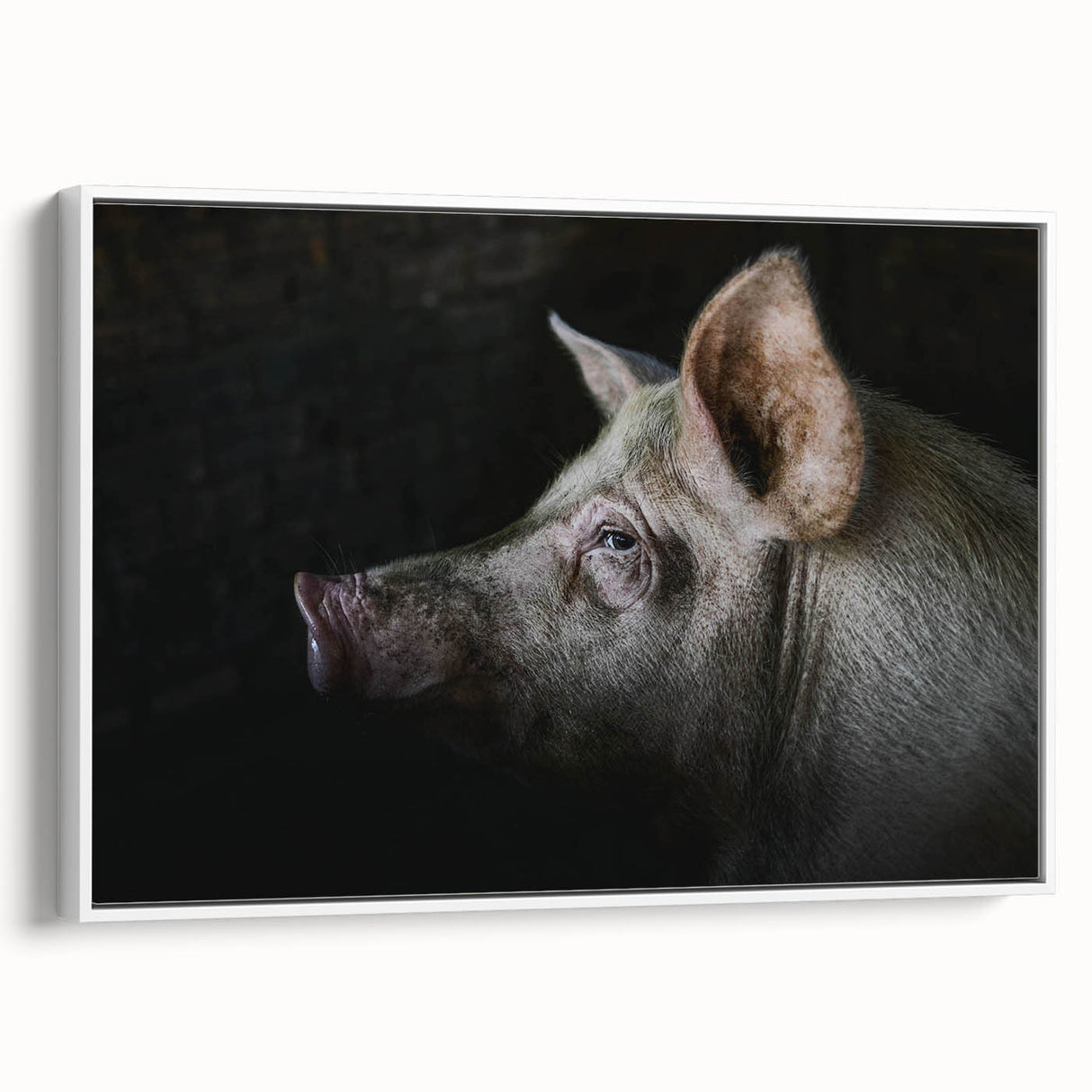 Framed canvas wall art featuring a whimsical pig design in a white frame, showcasing vibrant colors and playful details, perfect for animal lovers and home decor enthusiasts.