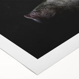 Rolled canvas wall art featuring a whimsical pig design in vibrant colors, showcasing playful details and a textured surface for added depth, perfect for animal lovers.