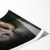 Whimsical pig-themed wall art print featuring vibrant colors and playful design, rolled and ready for framing, perfect for animal lovers and home decor enthusiasts.