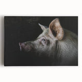Vibrant stretched canvas wall art featuring a whimsical pig design set against a colorful background, perfect for animal lovers and home decor enthusiasts.