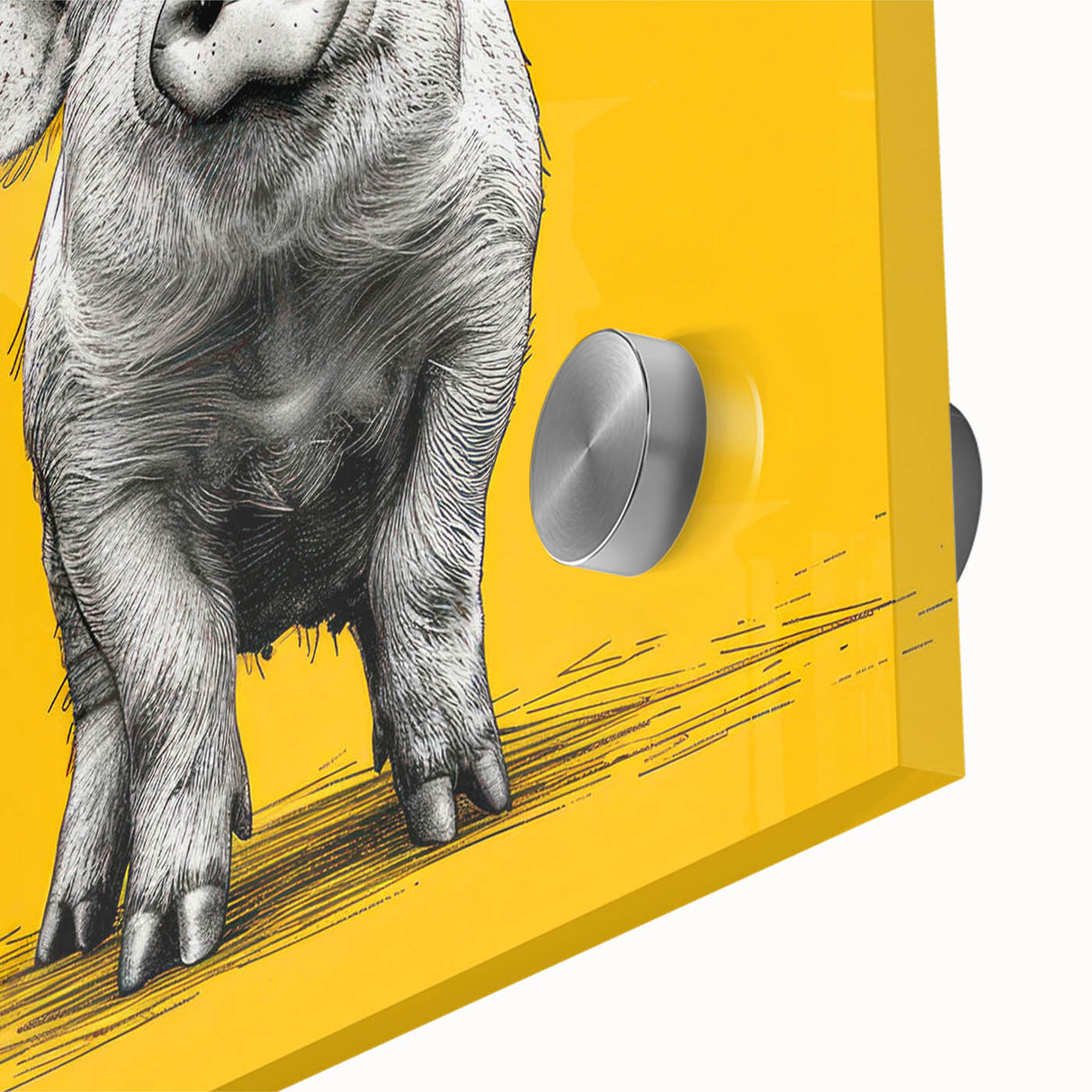 Close-up of a vibrant acrylic glass wall art piece featuring a whimsical pig design from the "Animals of the Wild" collection, showcasing intricate details and vivid colors, perfect for animal lovers and home decor enthusiasts.