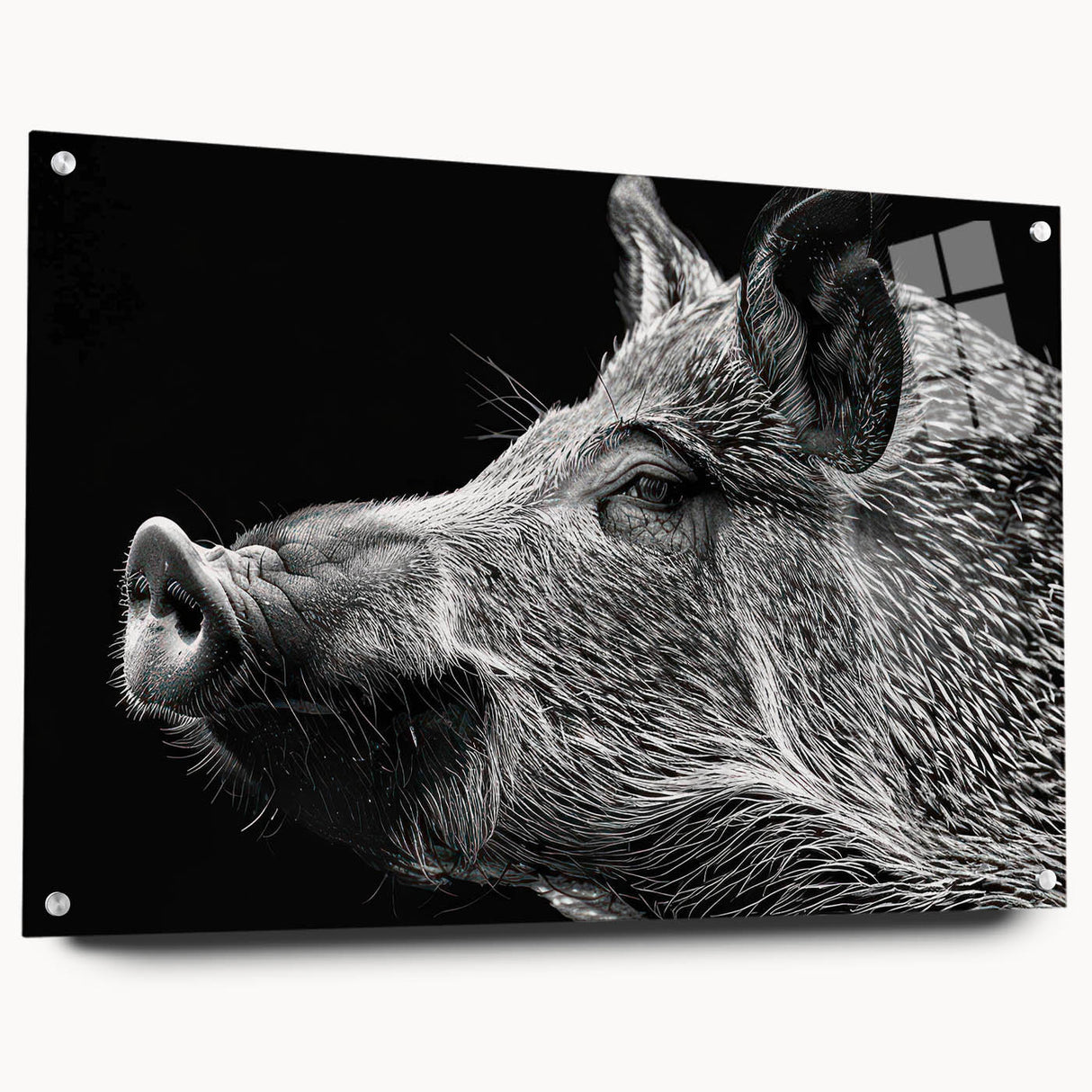 Acrylic glass wall art featuring a side view of a whimsical pig design, showcasing vibrant colors and intricate details, perfect for animal lovers' decor.